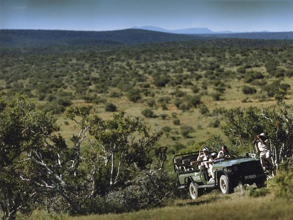 Eastern Cape Frontier Safari