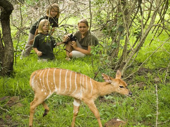 Phinda Mountain Lodge - kid walk