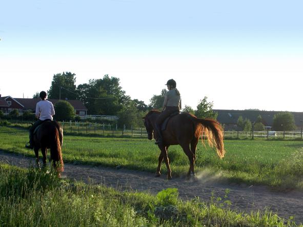 Franschhoek Country House - horse-riding