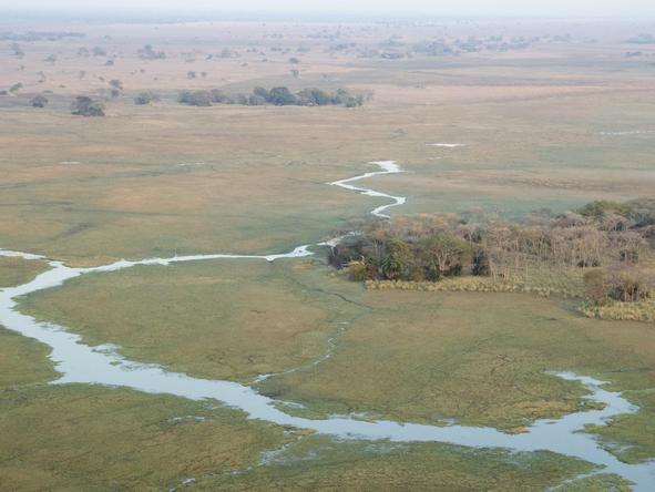 Busanga Bush Camp - aerial view of plains