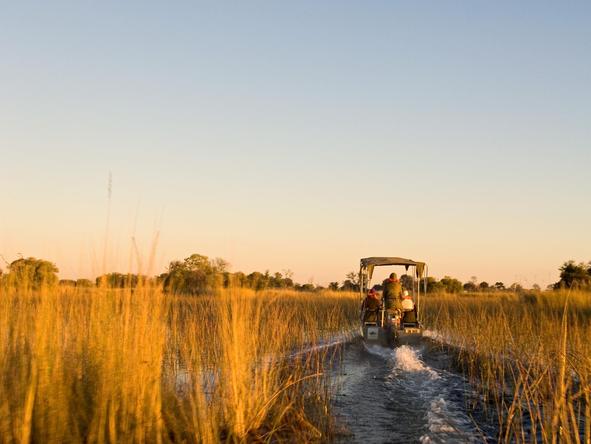 Camp Okavango - water safari