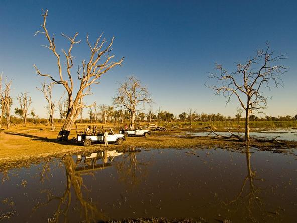 Camp Moremi - landscape