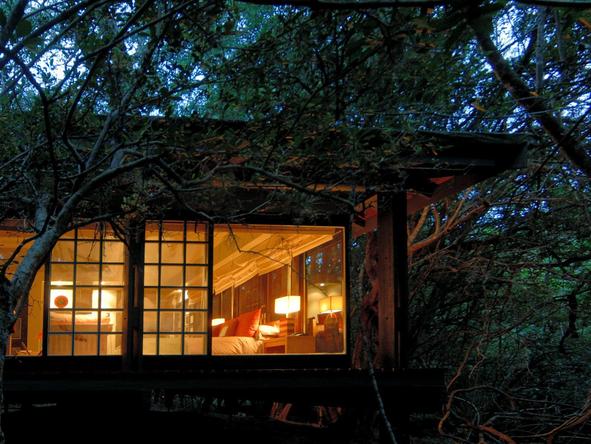 Phinda Forest Lodge - suite outside view