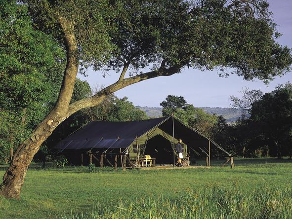 Little Governors' Camp  - tent exterior