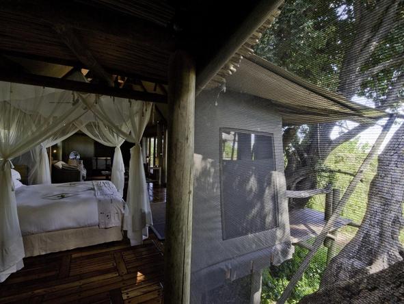 Mombo Camp - bedroom