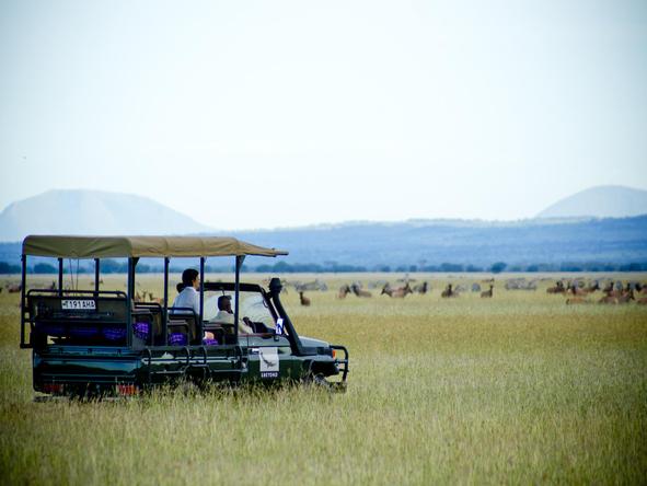 Grumeti Serengeti Tented Camp - safari