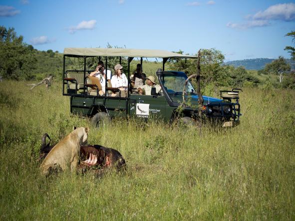 Klein's Camp - game drive