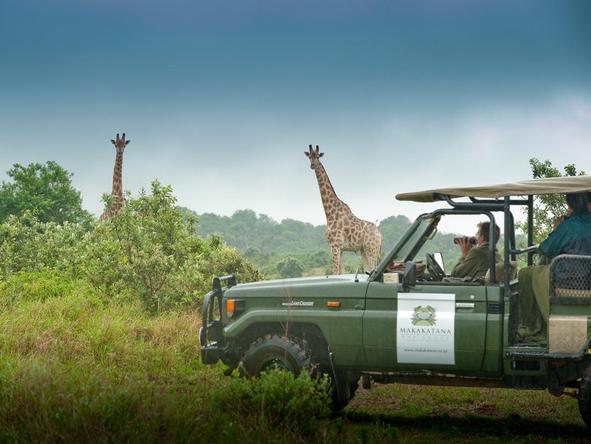 Msambweni Beach House - Game Drive 2
