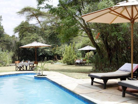 Ngong House - pool