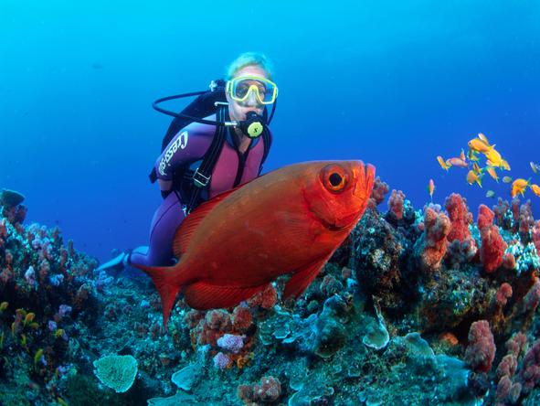 Thonga Beach Lodge - scuba dive