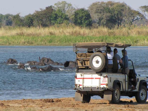 Imbabala Lodge - Game Drive