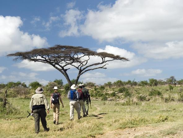 Shumbalala Lodge - walking safari