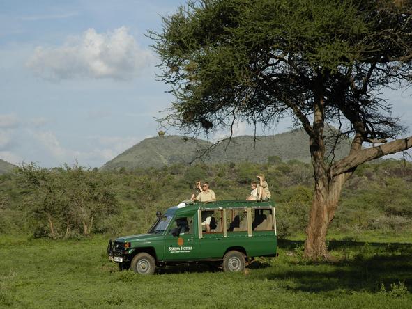 Kilaguni Serena Safari Lodge - game drive