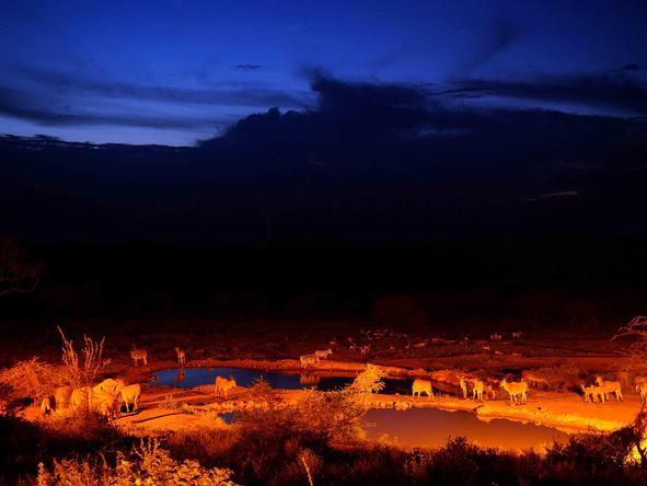 Kilaguni Serena Safari Lodge - Enjoy incredible views from the veranda in the evenings.