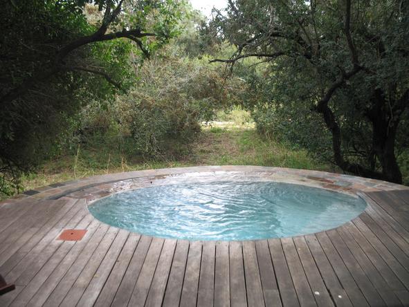 Tintswalo Safari Lodge - plunge pool