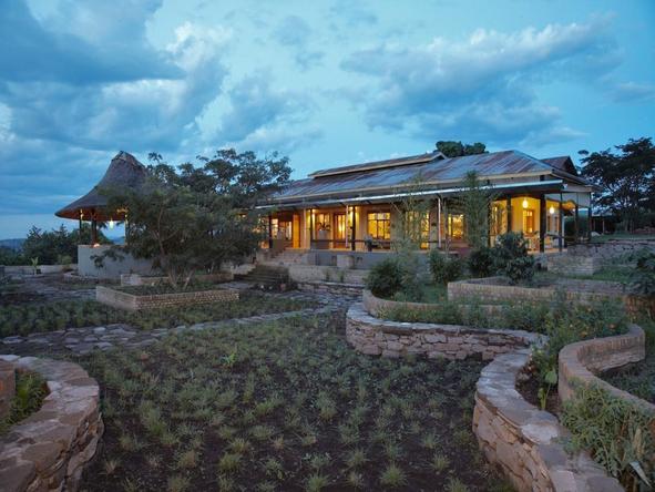 Volcanoes Bwindi Lodge - garden