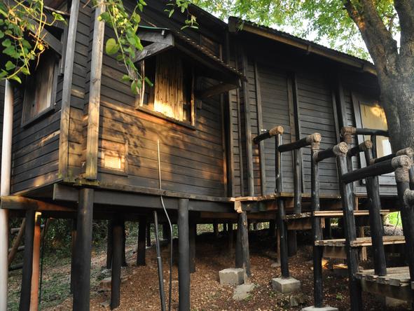 Nile Safari Lodge - treehouse
