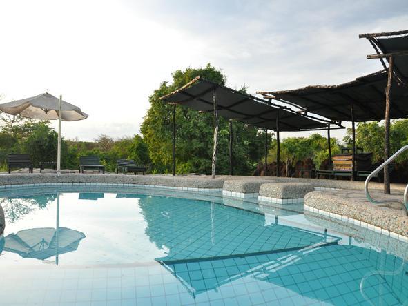 Nile Safari Lodge - swimming pool