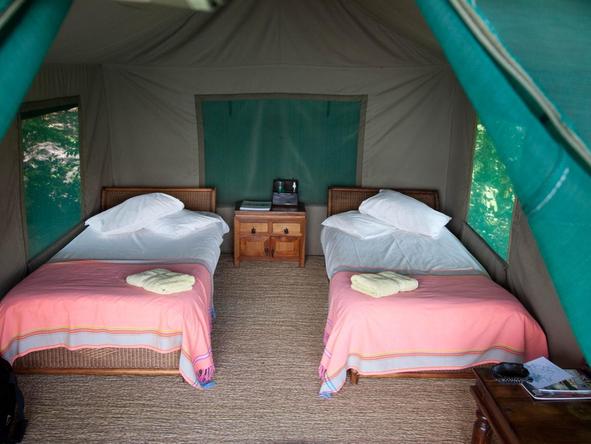 Mumbo Island Camp - tent
