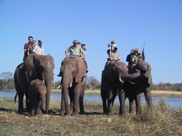 Stanley Safari Lodge - elephant-back safari