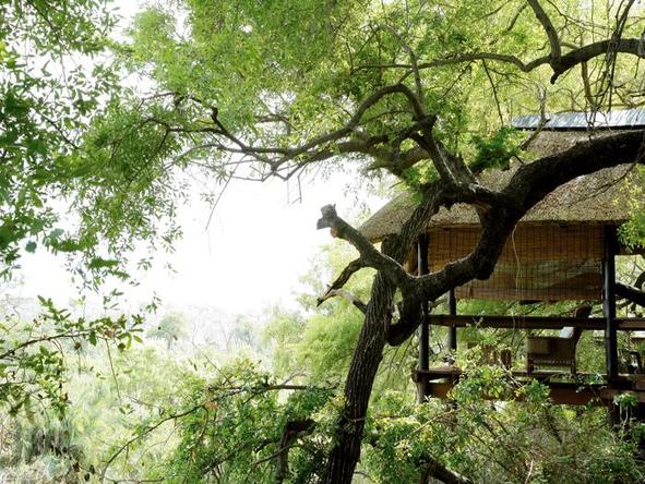 Londolozi Tree Camp - deck surrounded by trees