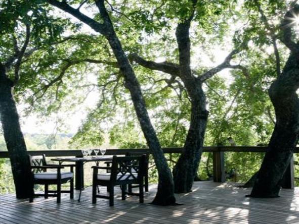 Londolozi Tree Camp - deck