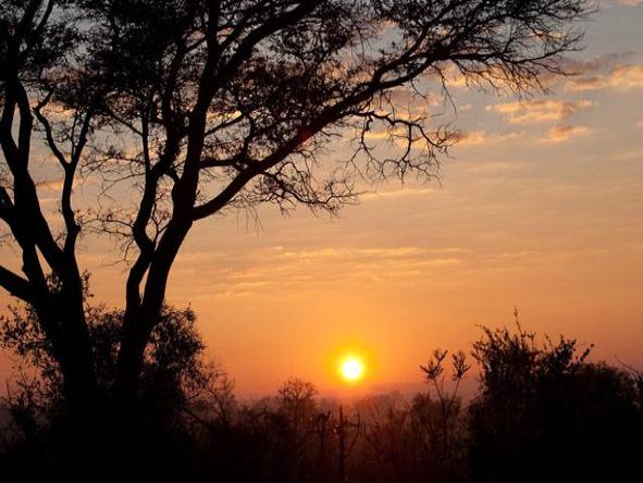 Londolozi Pioneer Camp - sunset