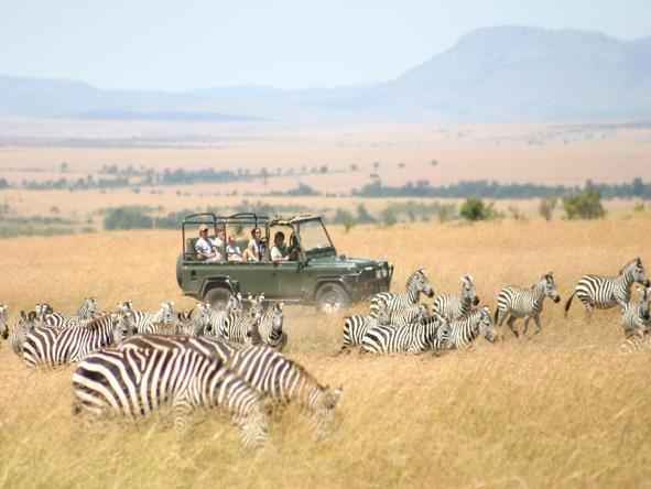 Richard's Camp - game drive