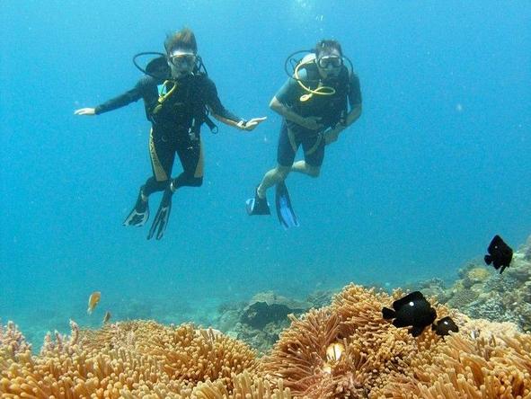 Londo Lodge - diving