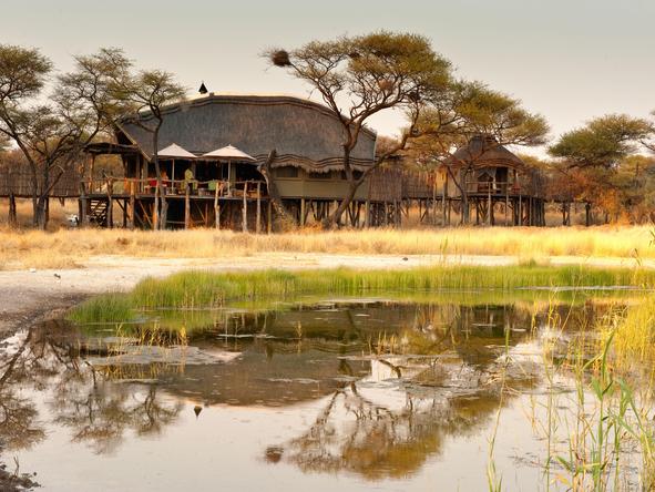 Onguma Tree-Top Camp - lodge exterior + waterhole