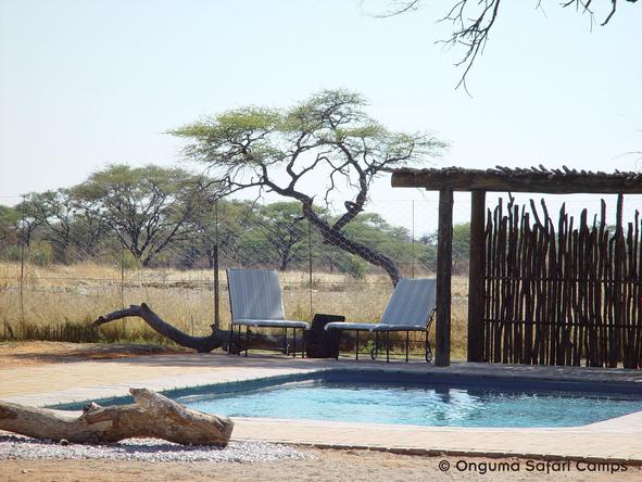 Onguma Bush Camp - swimming pool