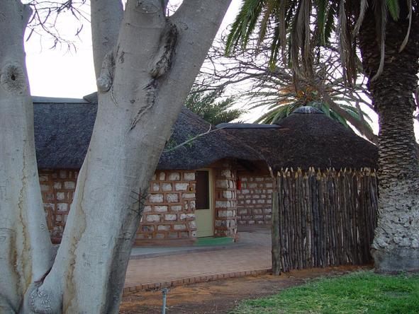 Onguma Bush Camp - surrounding vegetation
