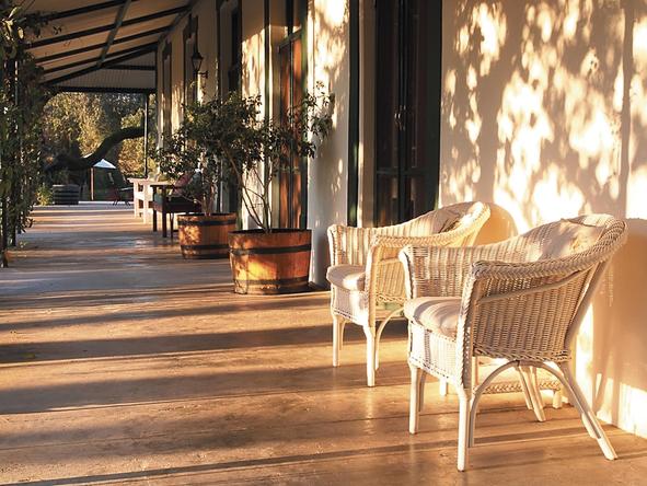 Bartholomeus Klip - Patio