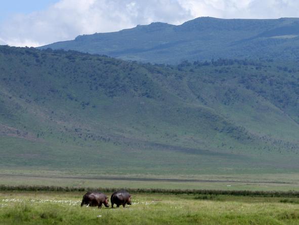 Lemala Ngorongoro - landscape