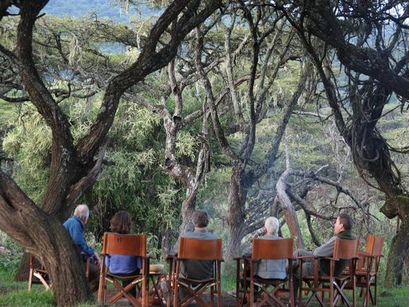 Lemala Ngorongoro - sitting in forest