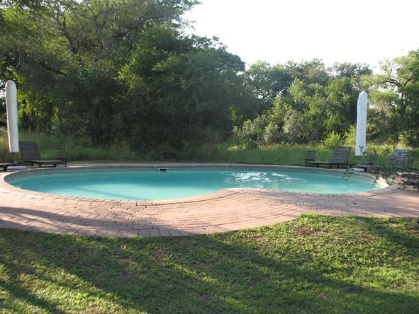 Honeyguide Khoka Moya Safari Lodge - Pool