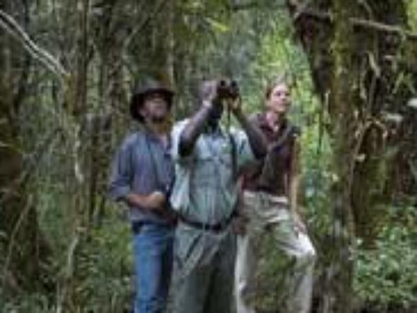 Chelinda Lodge - nature walk in forest
