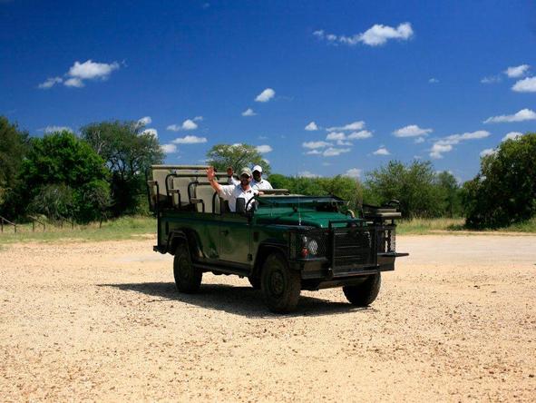Royal Malewane - game drive