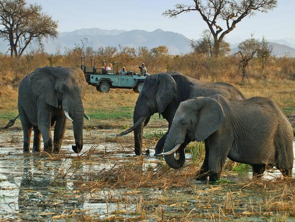Lukimbi Safari Lodge - game drive