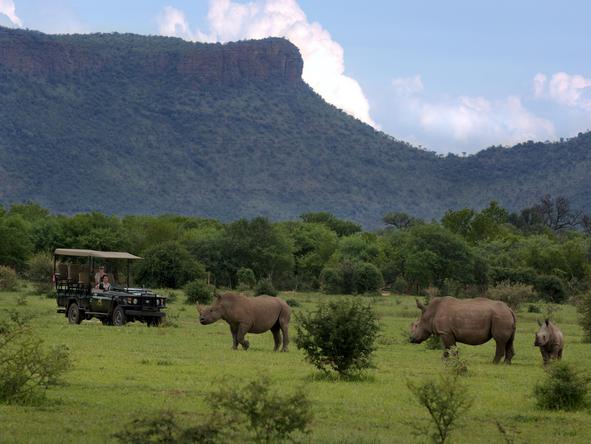 Marataba - game drive