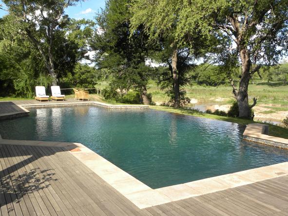 Rattray's on Mala Mala - swimming pool