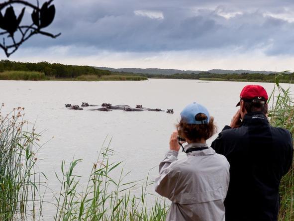 Makakatana Bay Lodge - hippo watching
