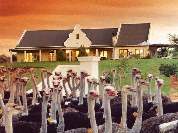 Mooiplaas Guest House - sunset