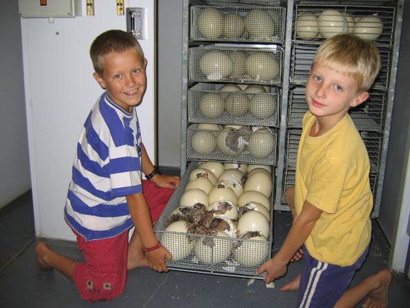 Mooiplaas Guest House - children