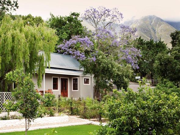 Schoone Oordt Country House - swimming pool