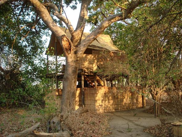 Chikoko Tree Camp - landscape