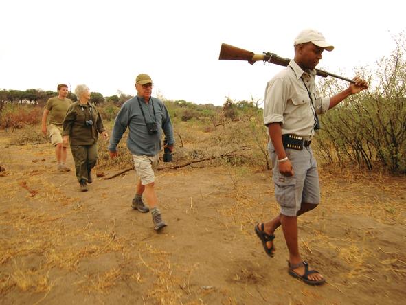 Linyanti Bush Camp - Walking Safari