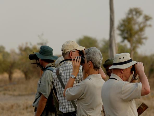 Mwaleshi Bush Camp - walking safari