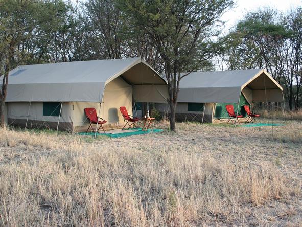 Serengeti Tented Camp - twin tents