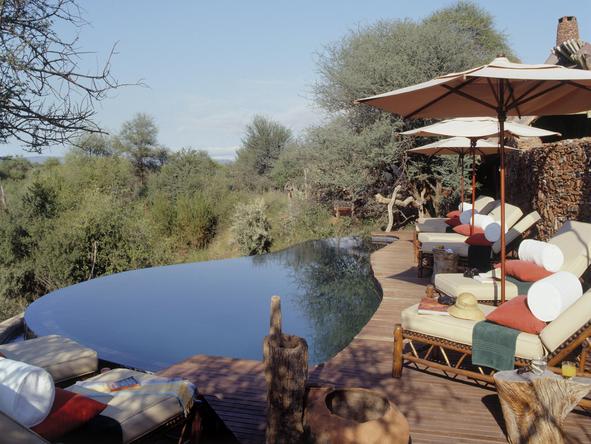 Makanyane Safari Lodge - swimming pool deck